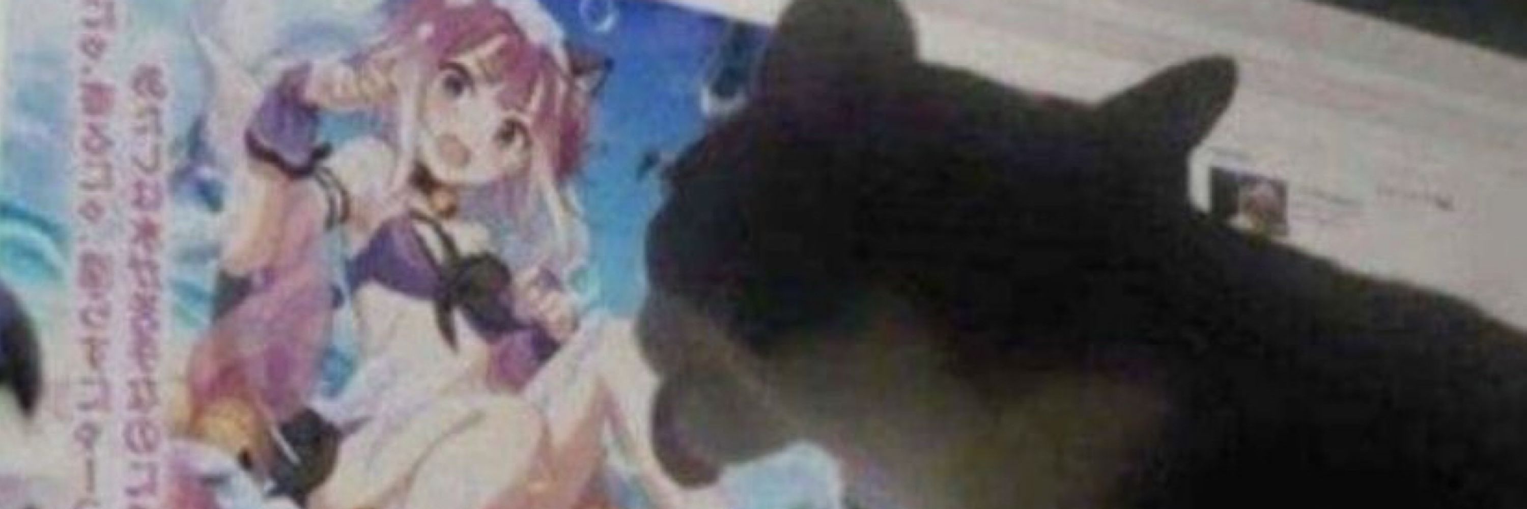 れき