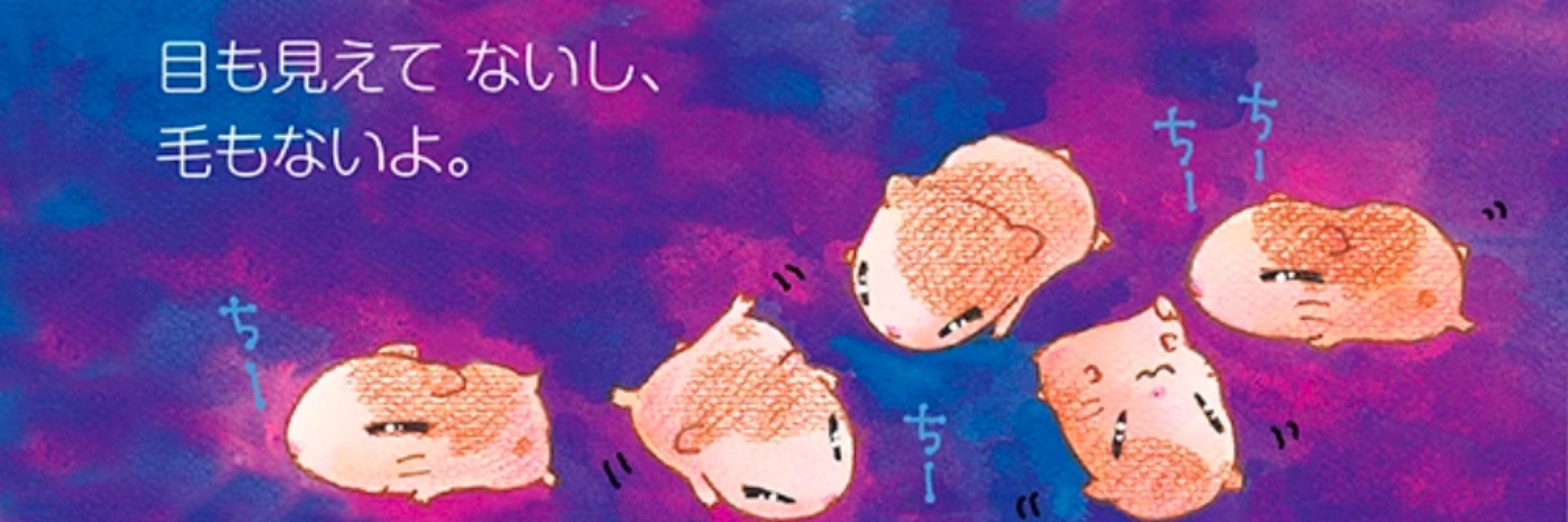 tboy hamster thing