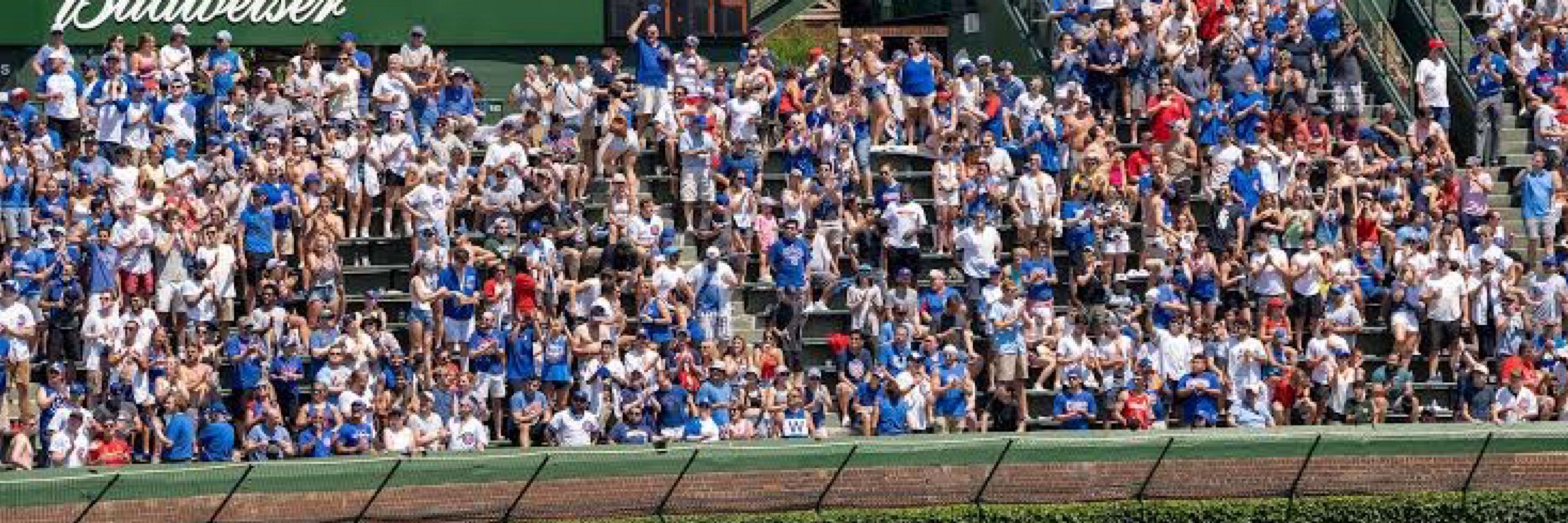 Bleacher Bunch
