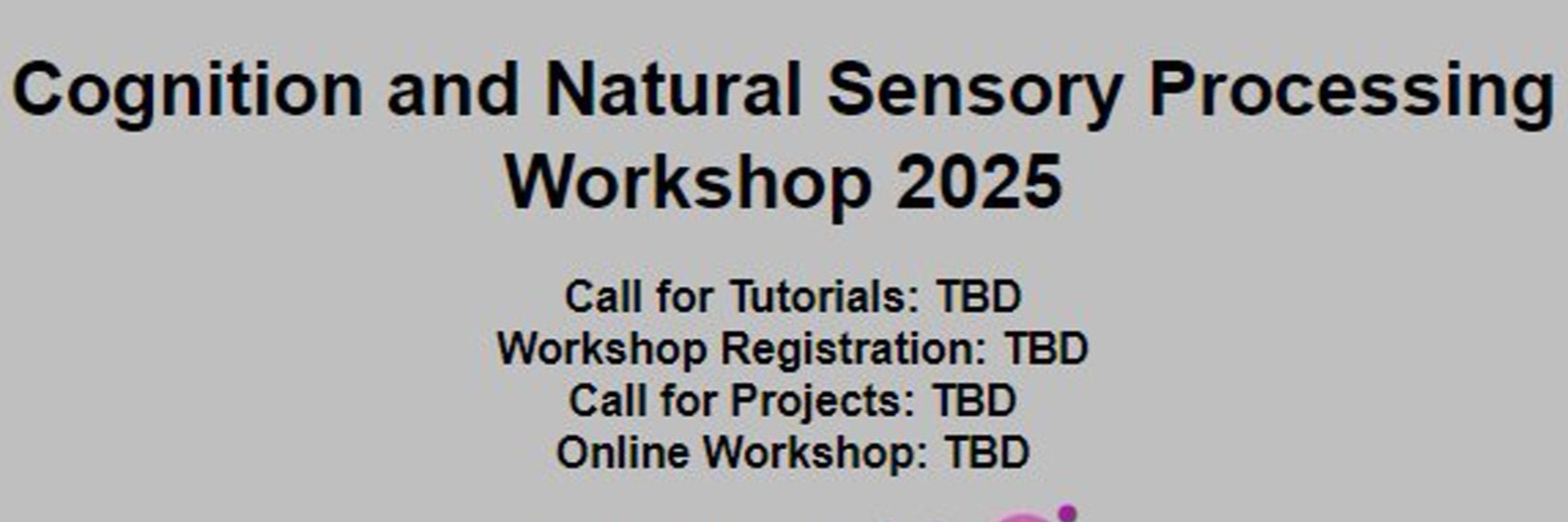 CNSP Workshop