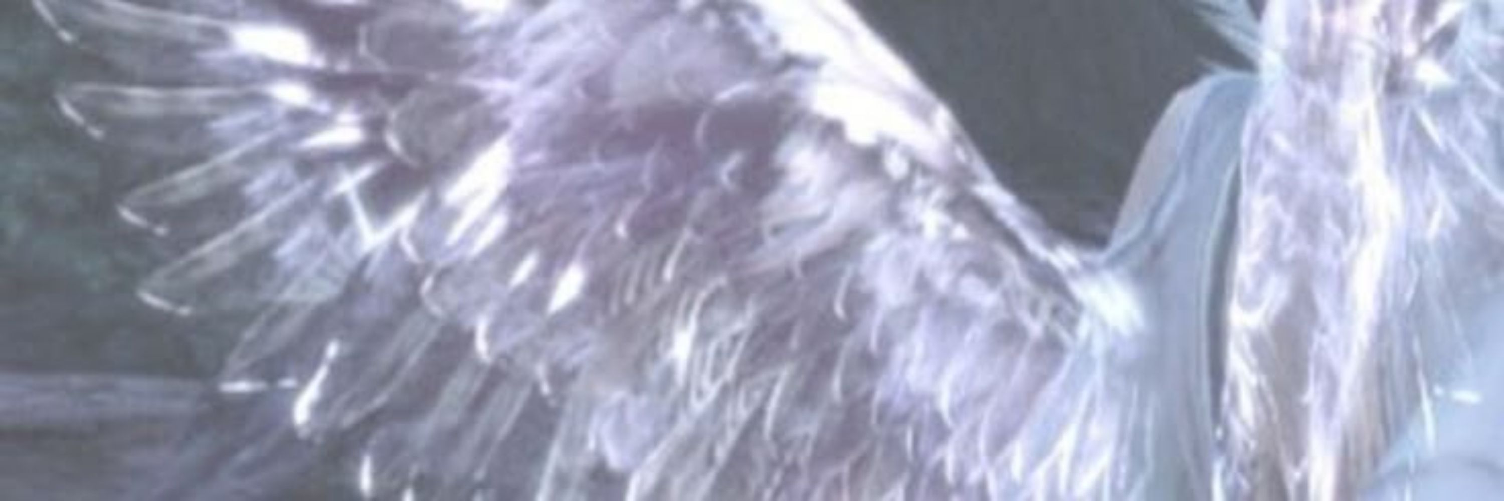 ᯓ𖦹𝐃𝐚𝐯𝐞𝐲⭑.ᐟ