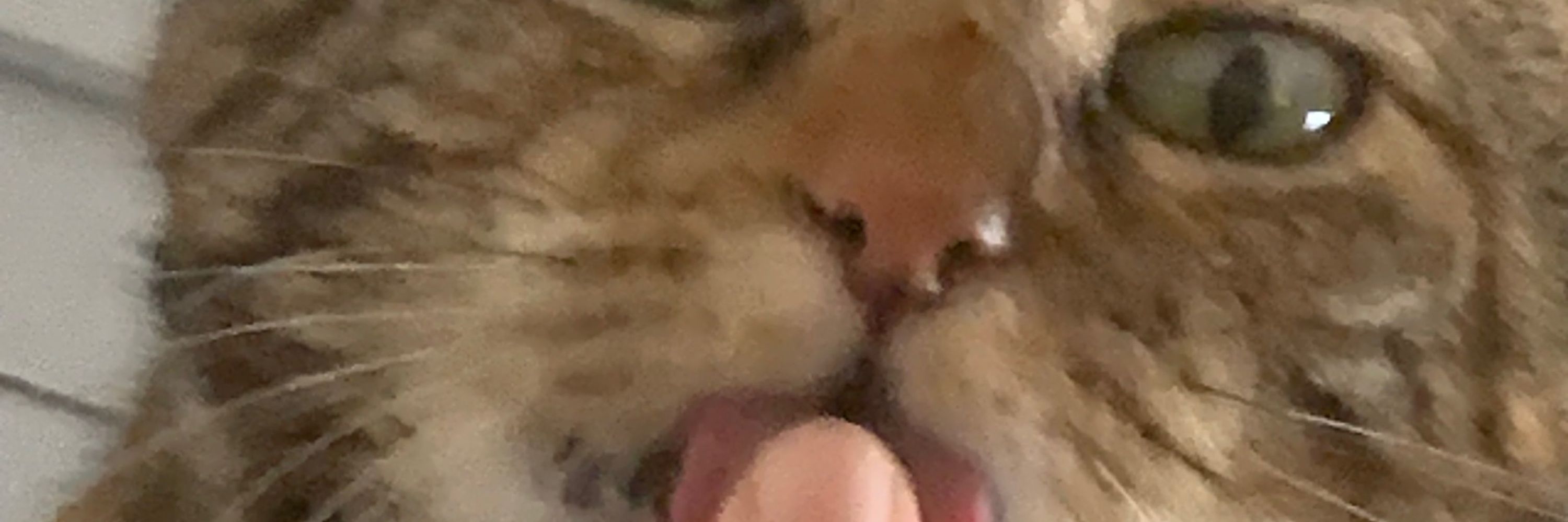 Kowab