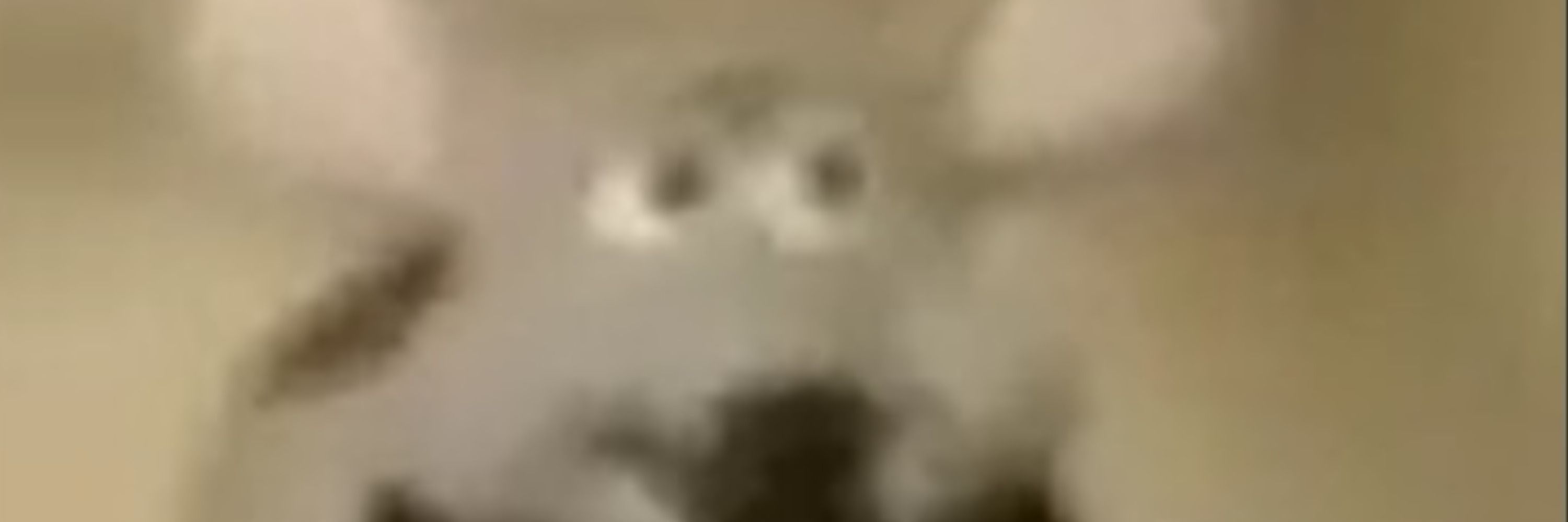 Kappablito
