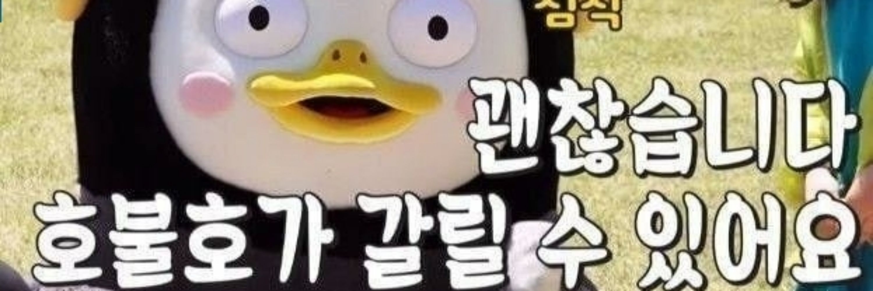 프로오타러 hins