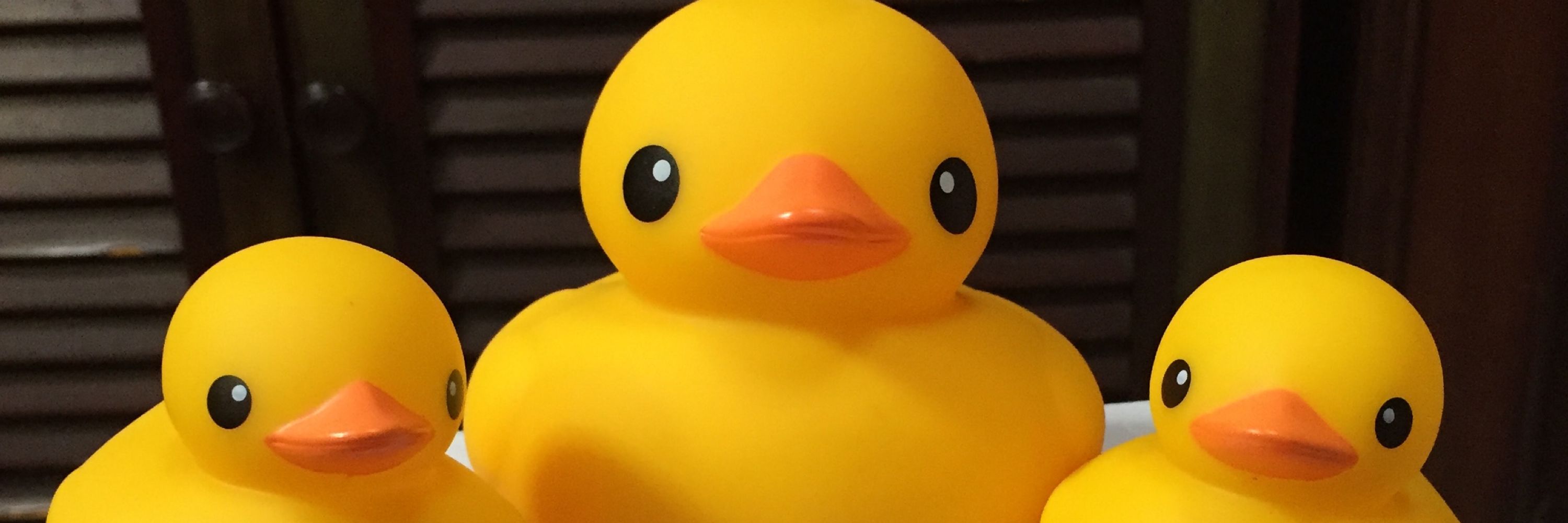 あひるししょー