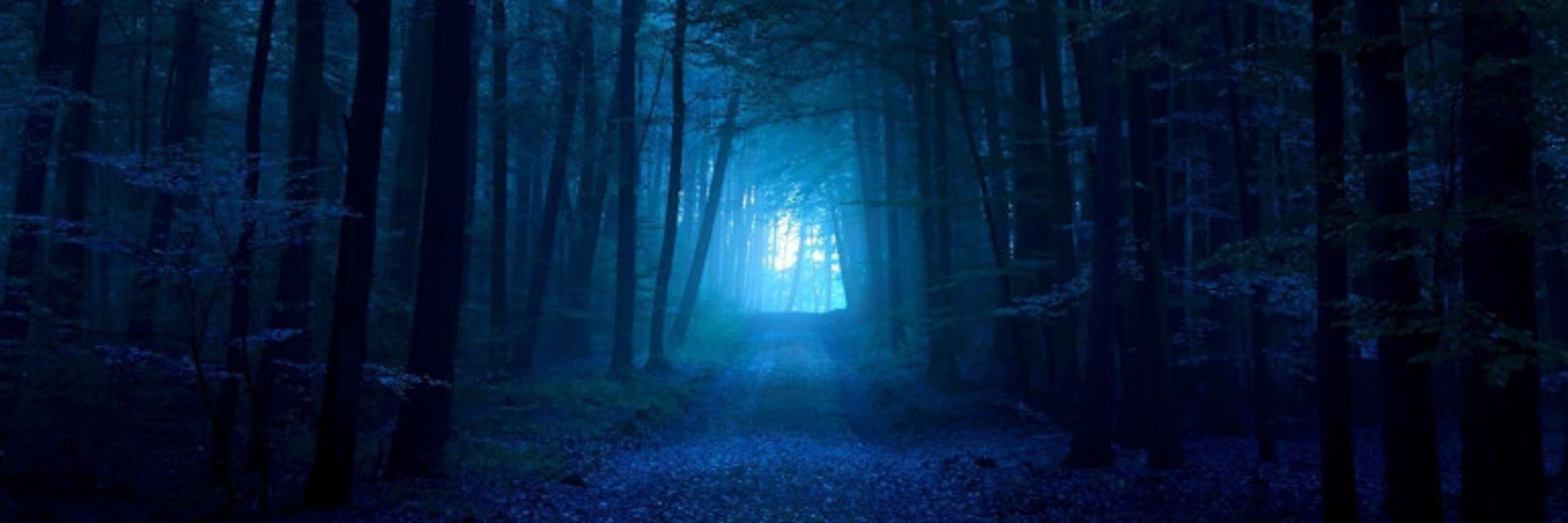 Ravenwold