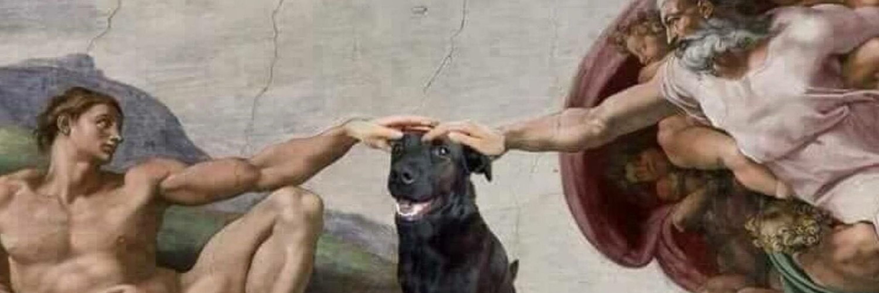 𝕵𝖔𝖘𝖊 𝕹𝖊𝖙𝖔