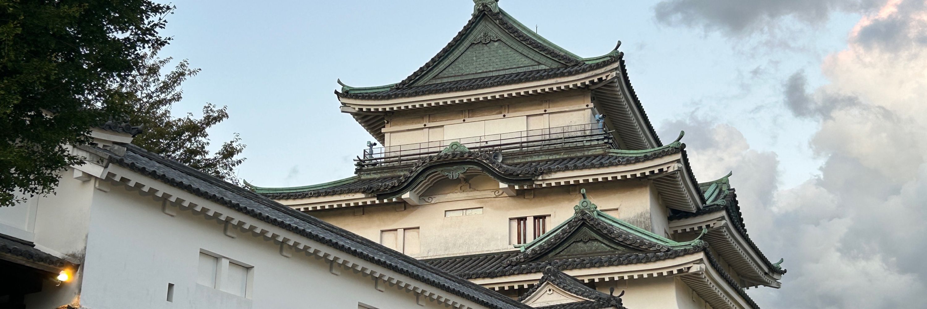 黒猫 珠