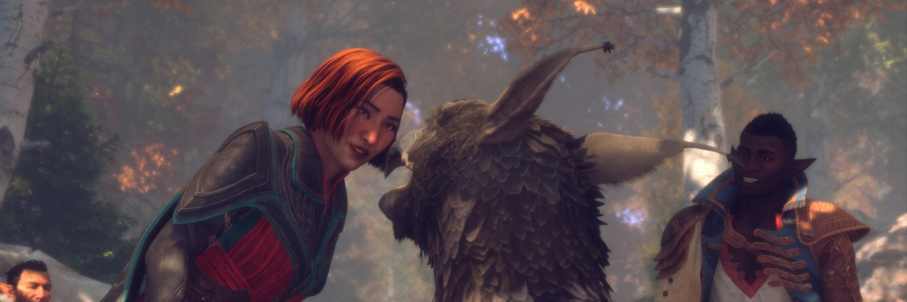 Dragon age fan first, person second