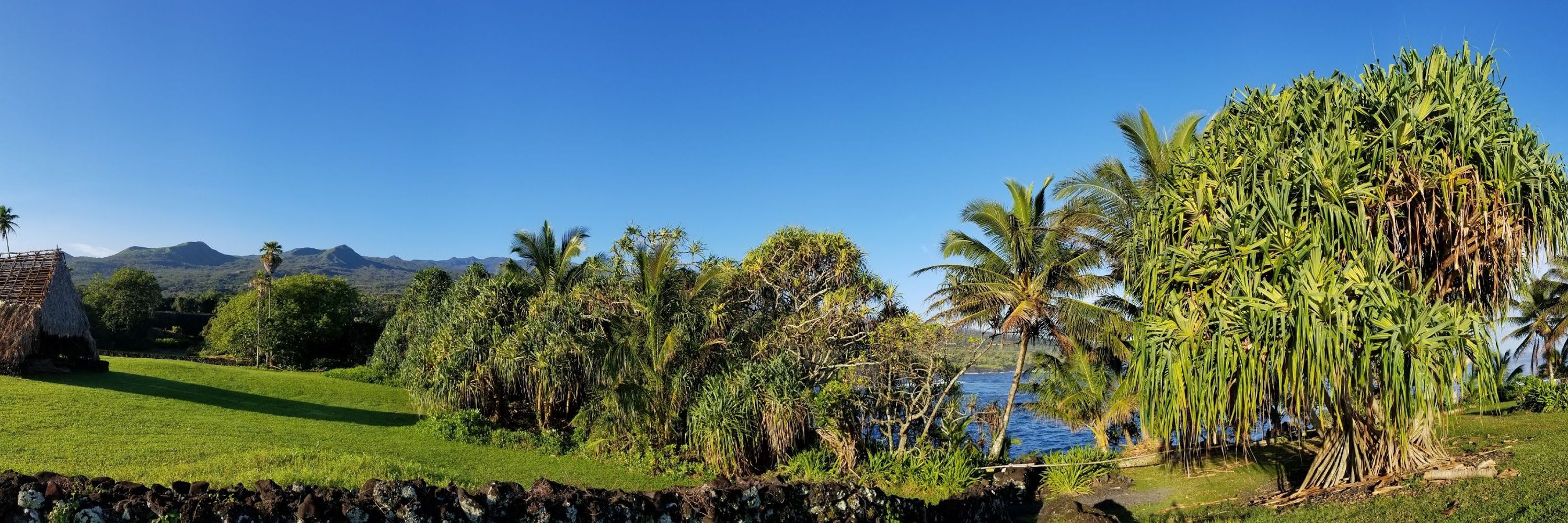 National Tropical Botanical Garden