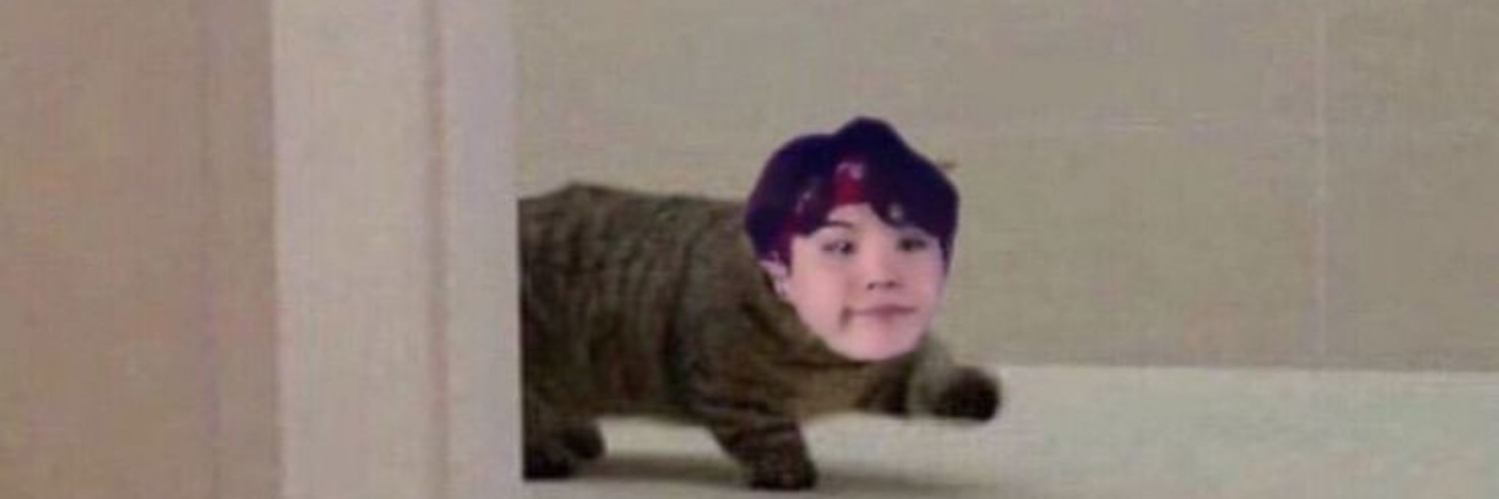 Aigoo Kamjagiya