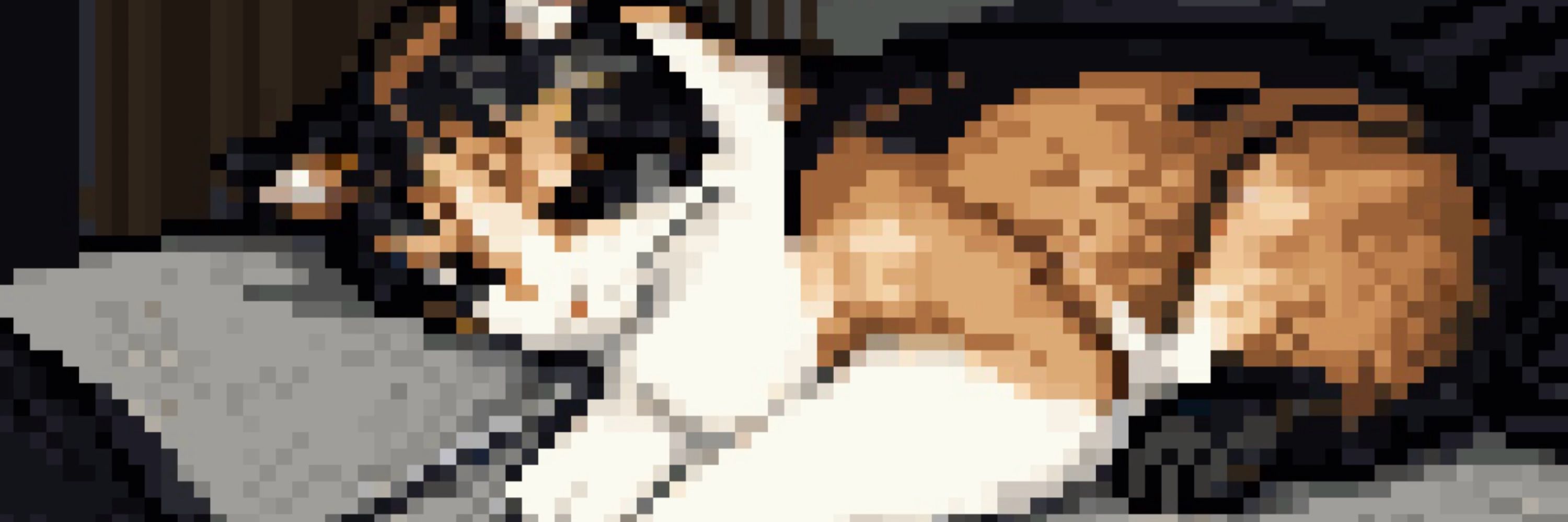 PurrvivalMode