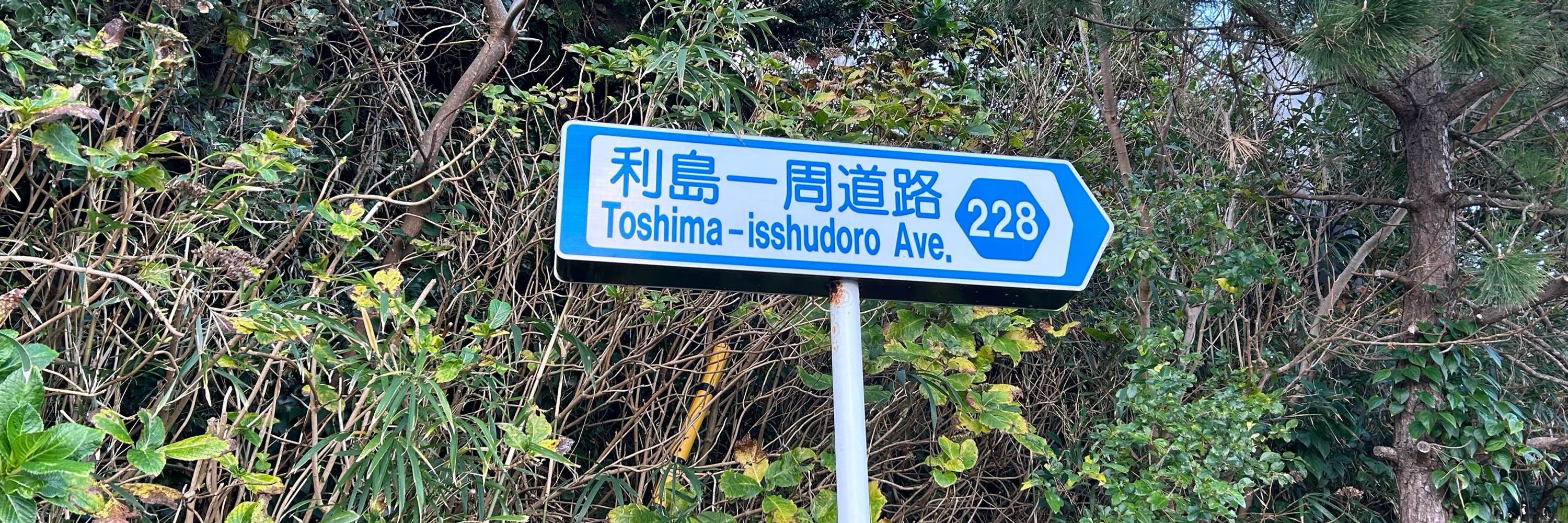 みとらいと