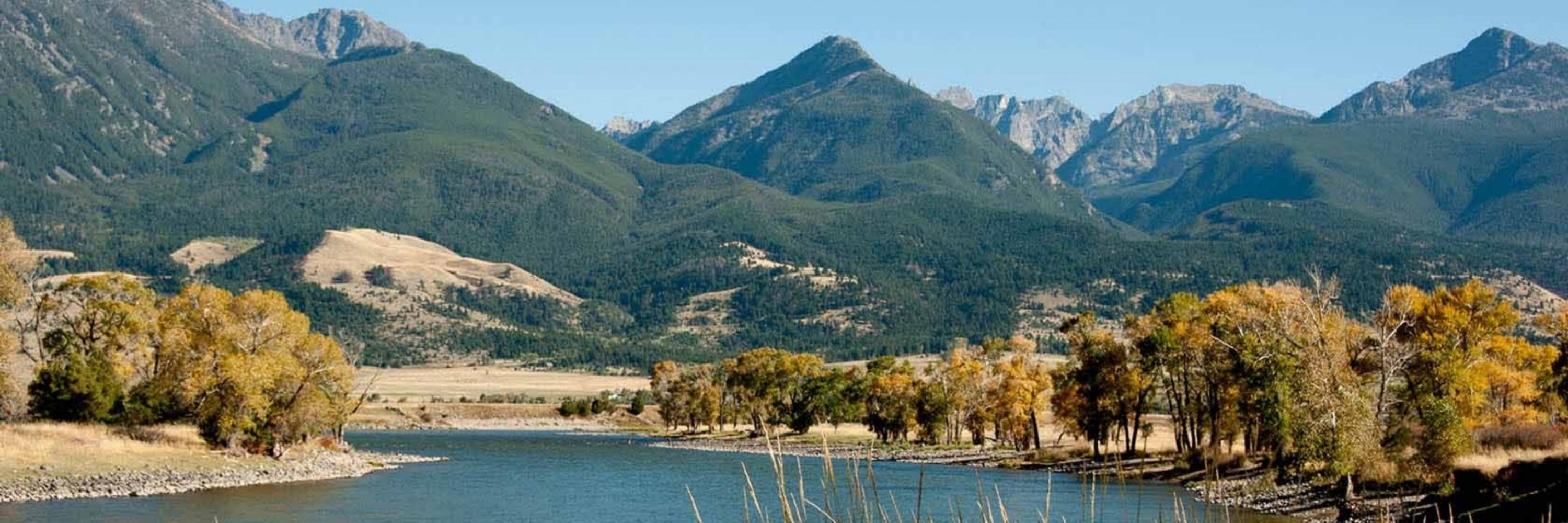 Mike in Montana