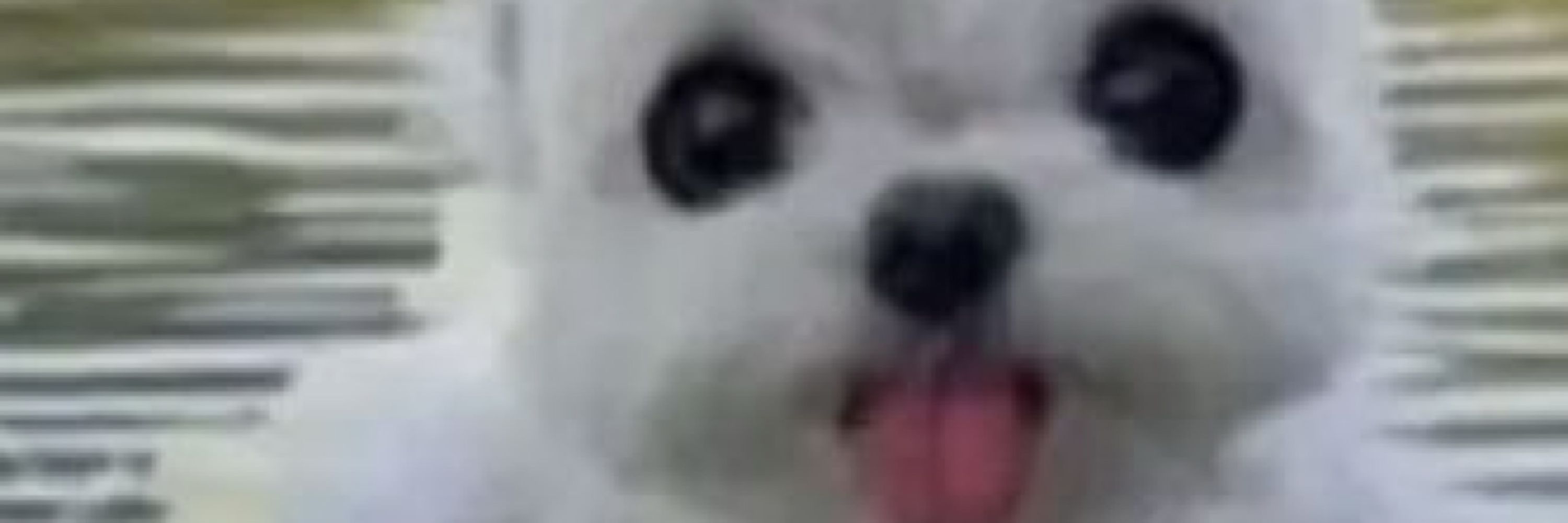 Ken?