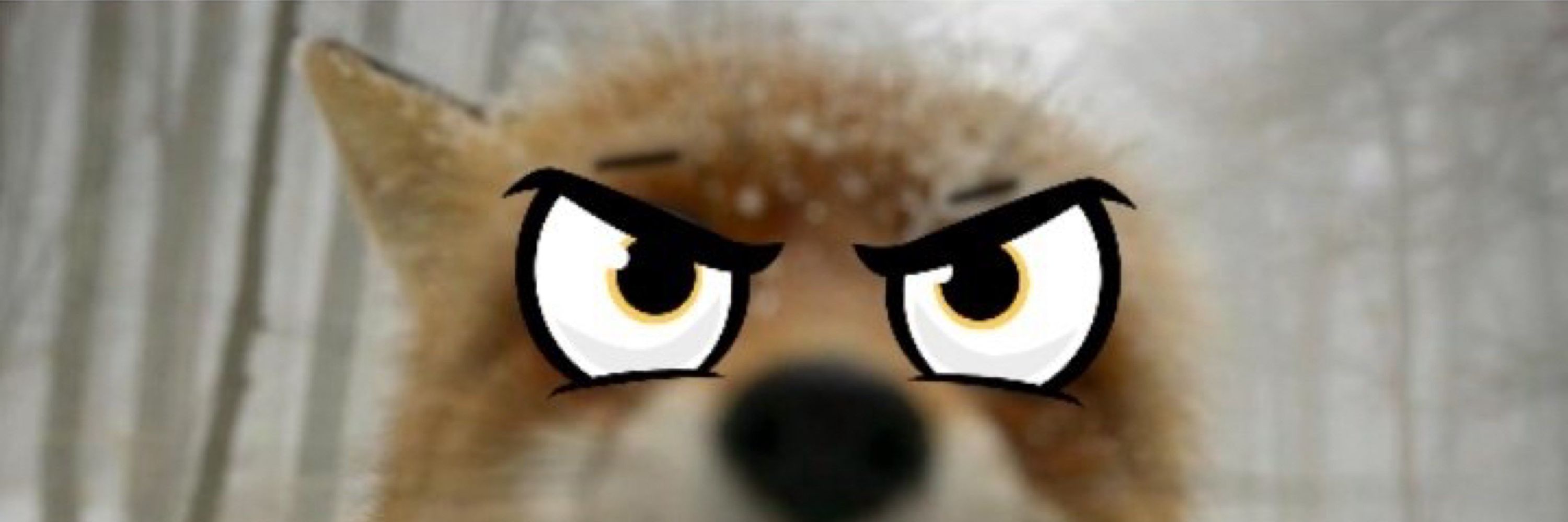 IKITheFox