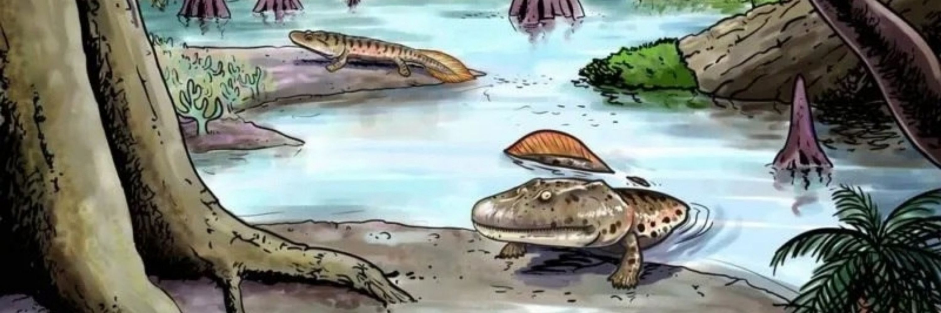 Darwinista