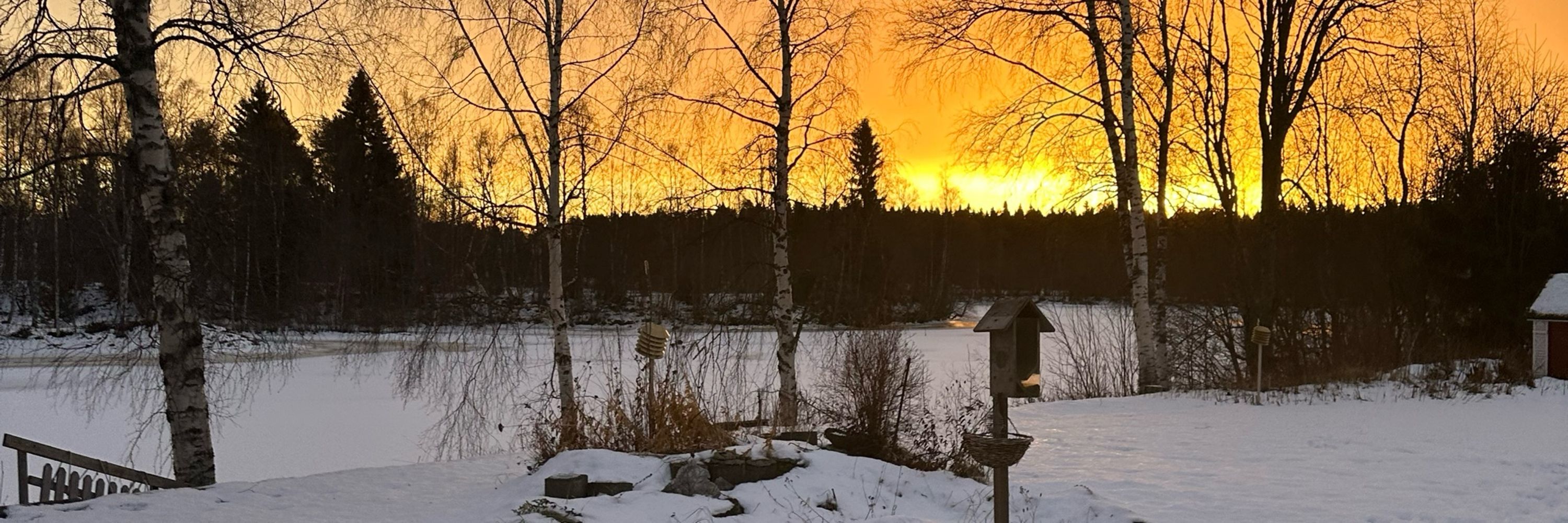 Essi Haukkamaa