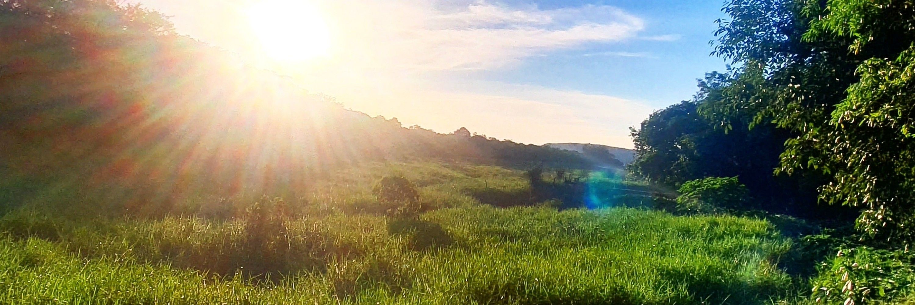 Dias