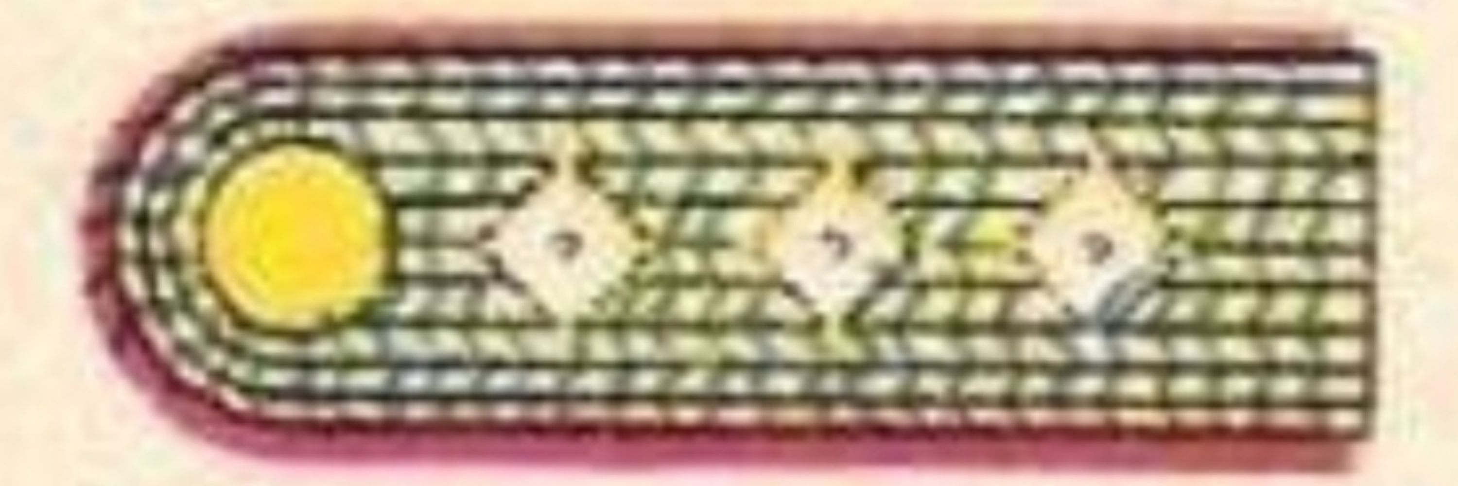 Reichsbahn-Amtmann