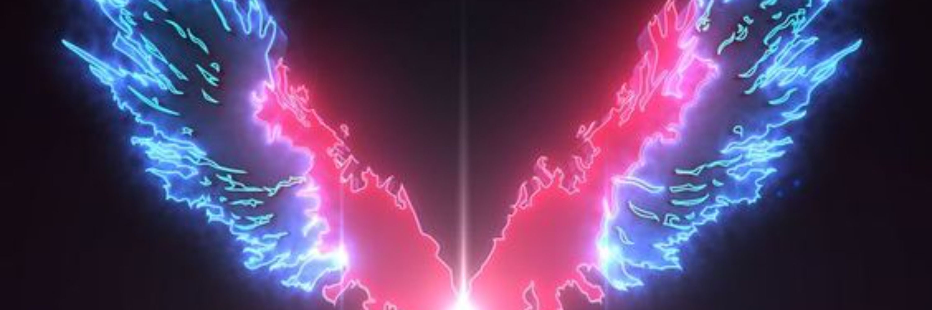 ZygardZero