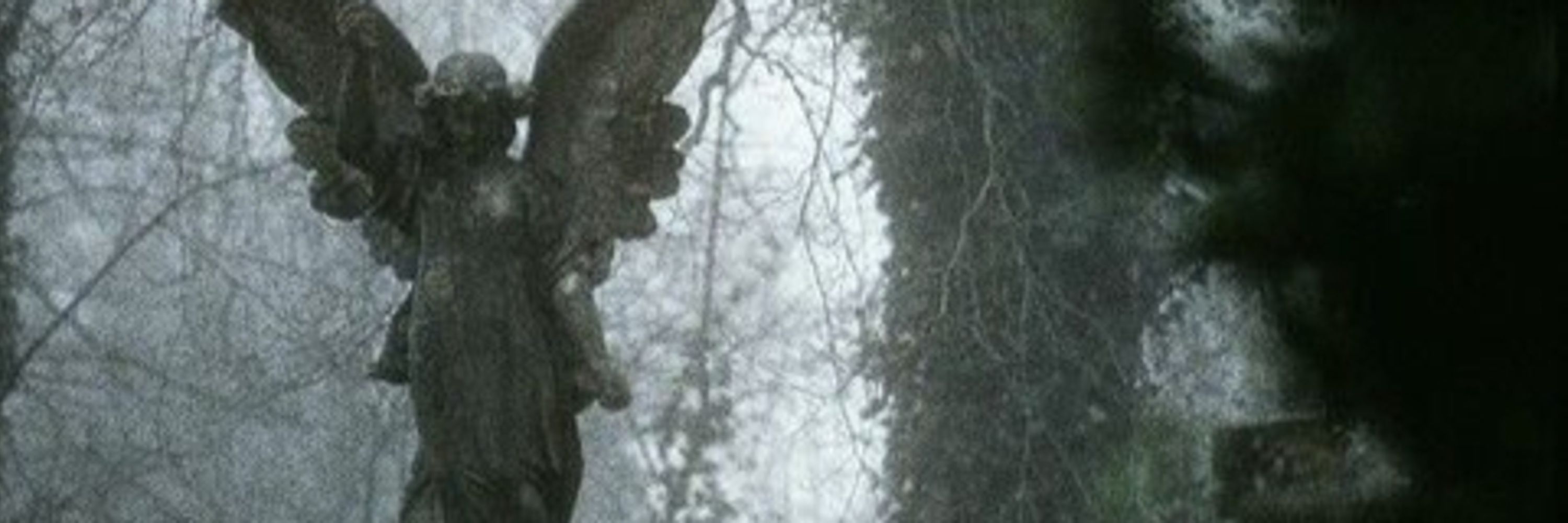 PlagueFeathers
