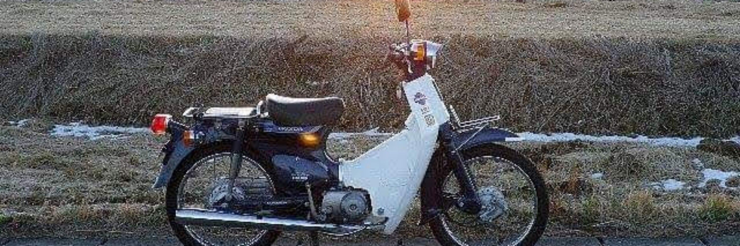 のんびりうさぎ
