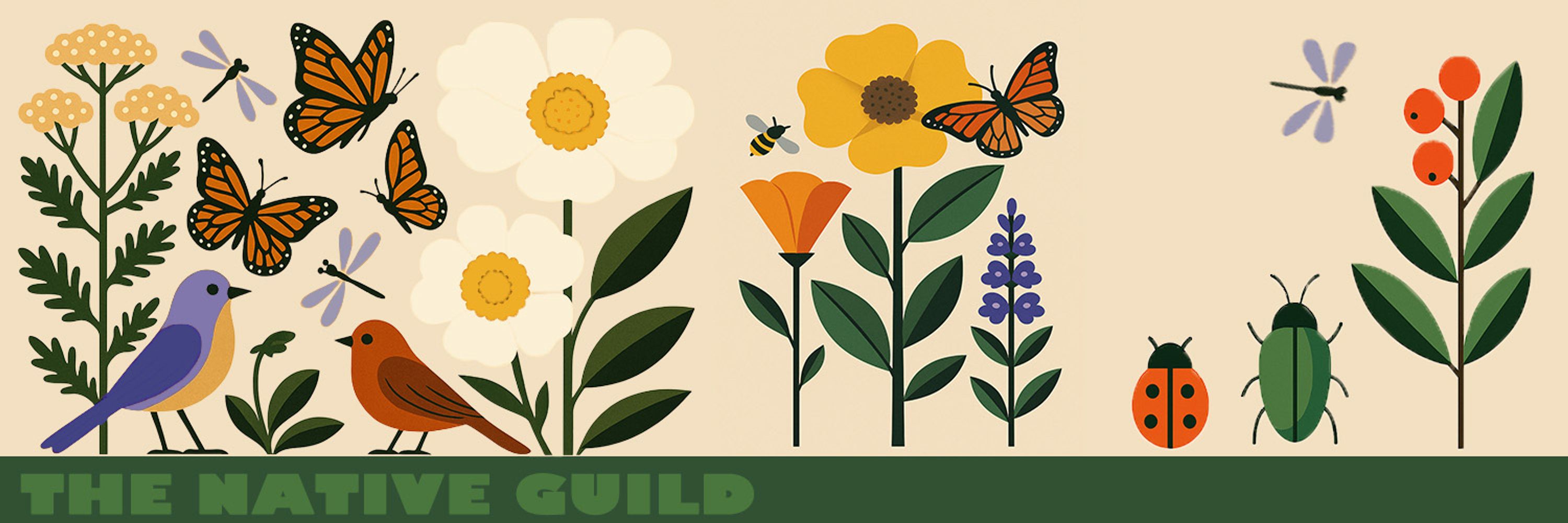 The Native Guild
