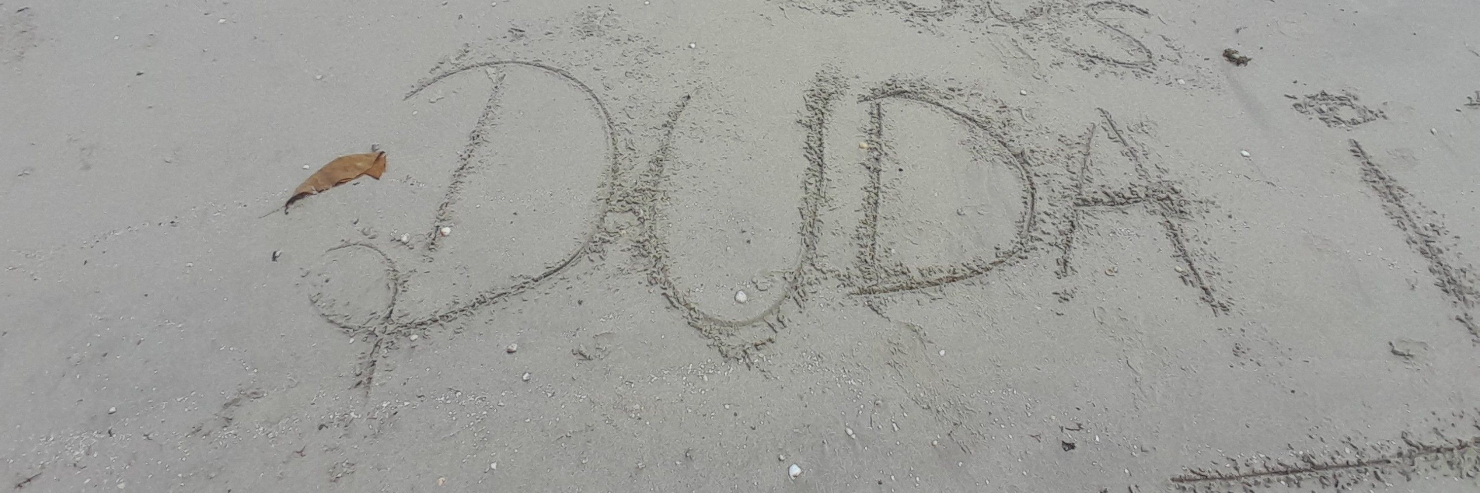 Dudex