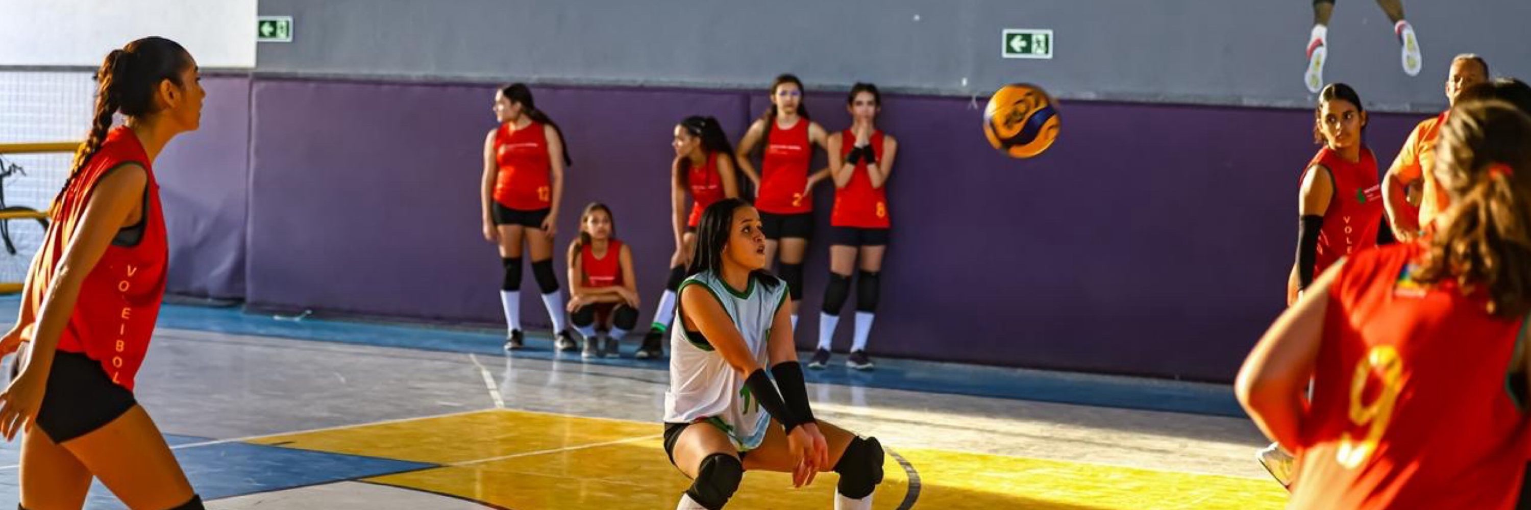 maju