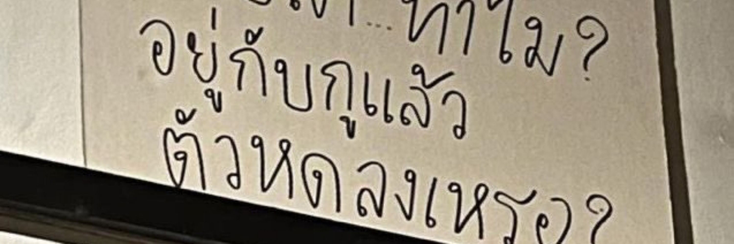 딤미