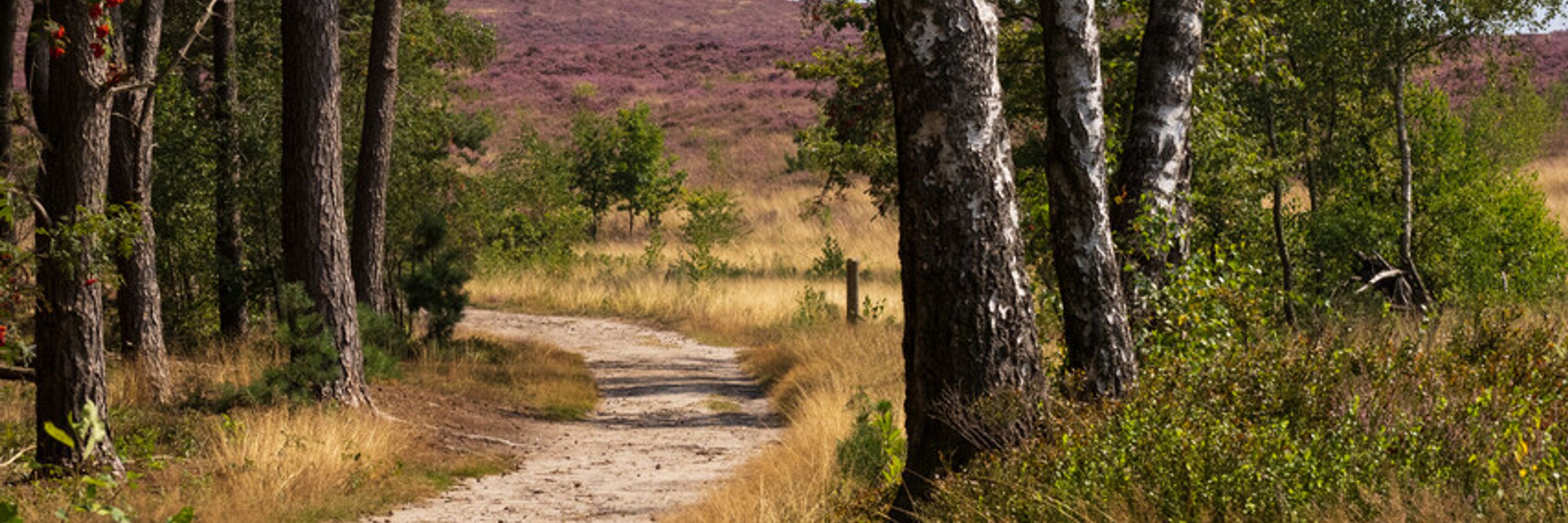 Stichting Landschap Overijssel