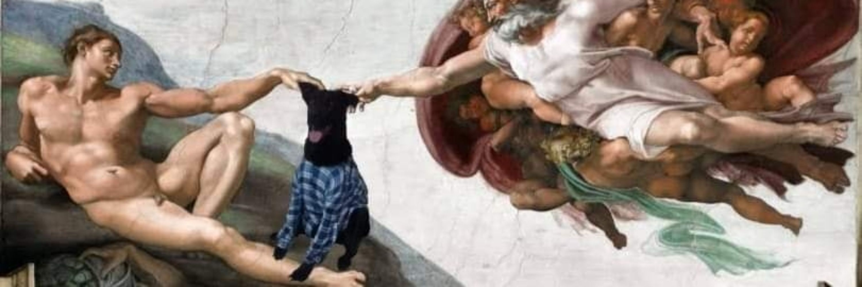 Apenas uma camponesa
