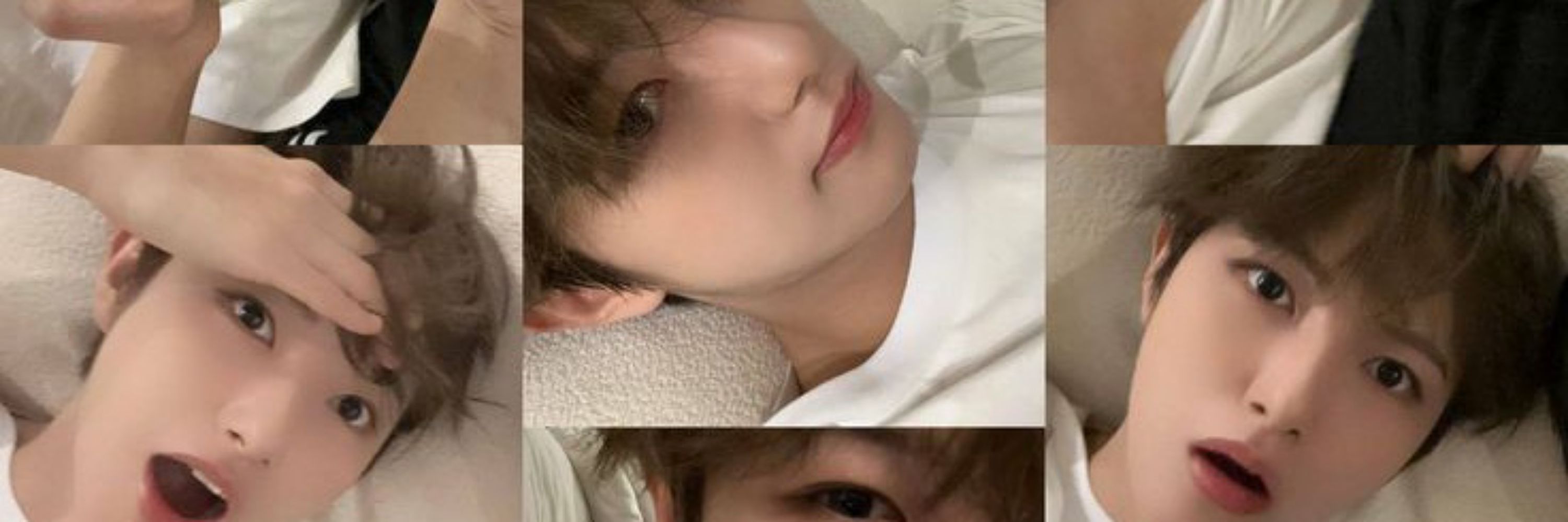 Lara lvs jaemin
