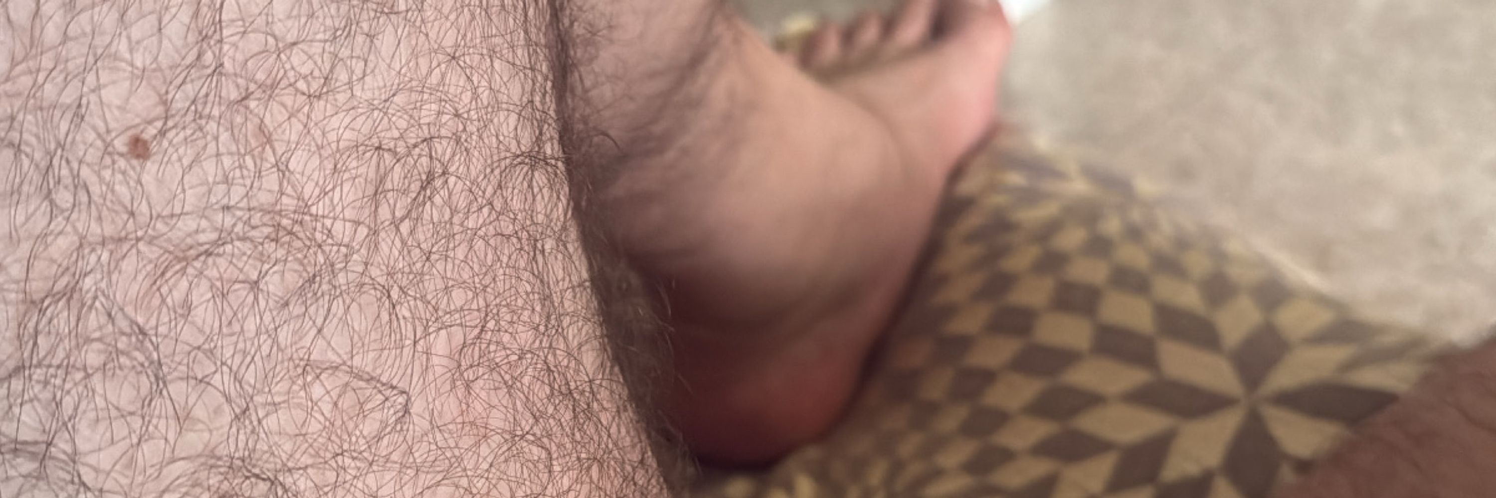 Big.hairy.bear