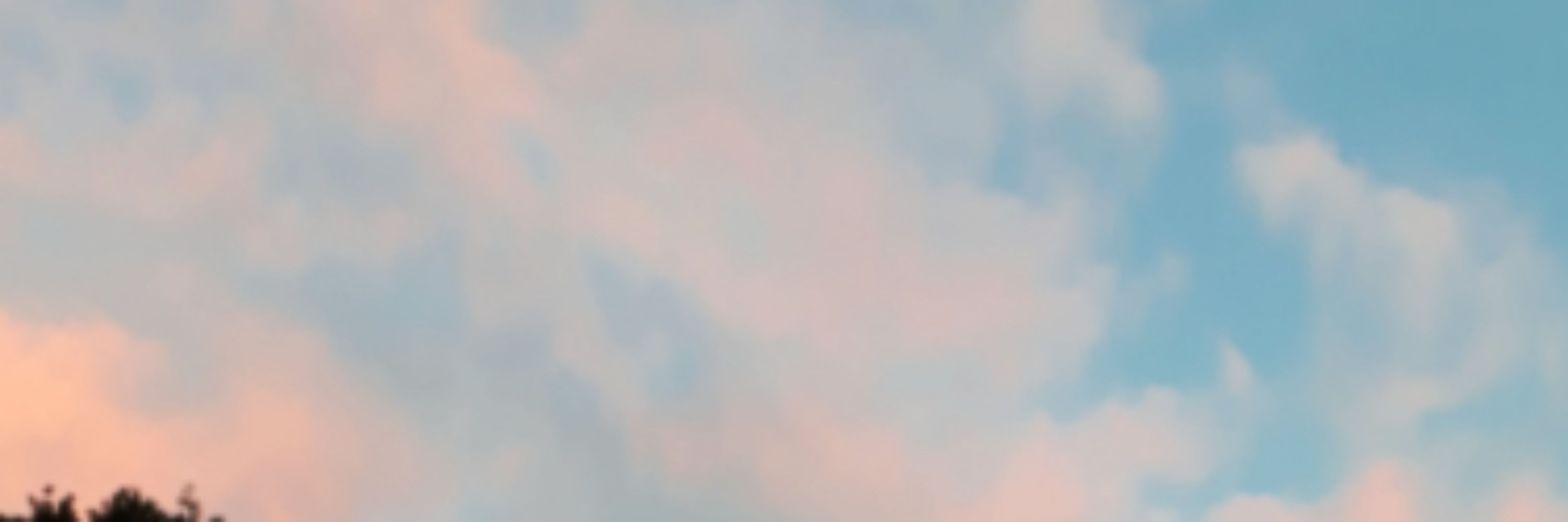 Niko