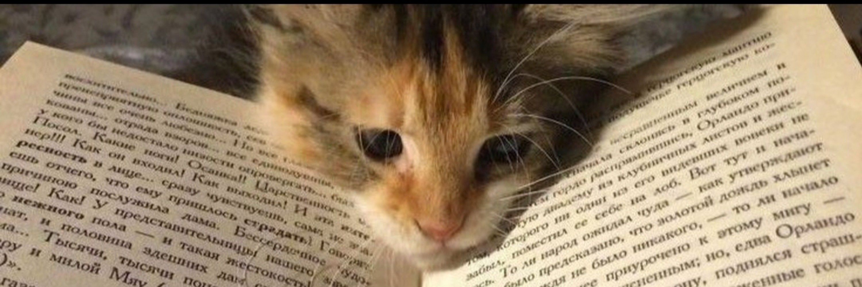 Sabidinha_nerd