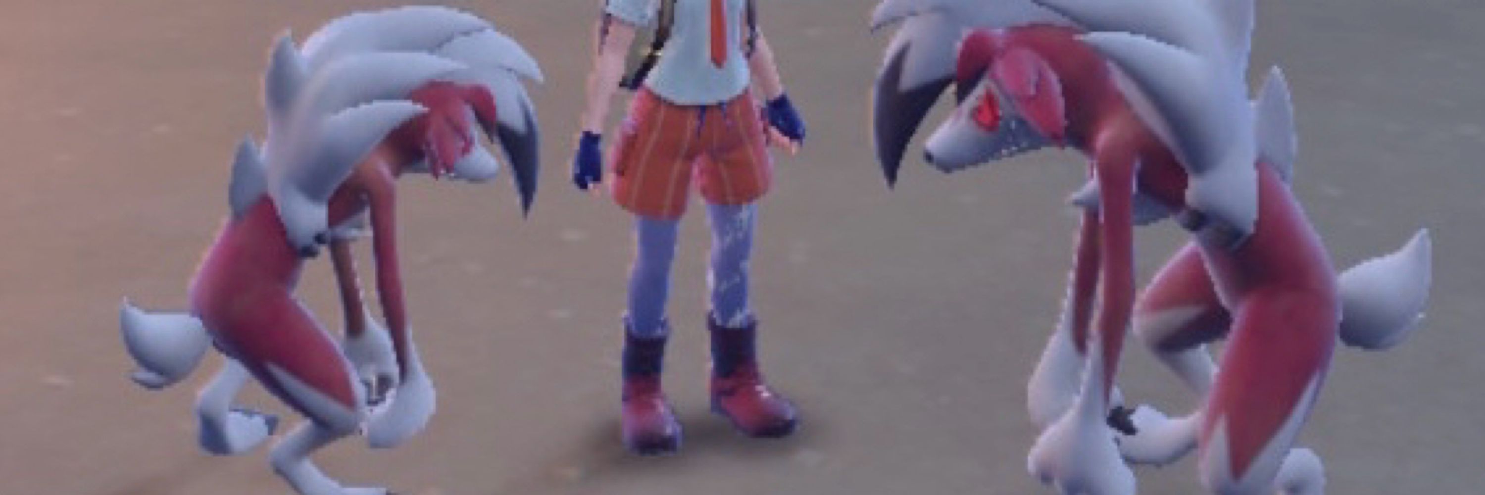 深鷺