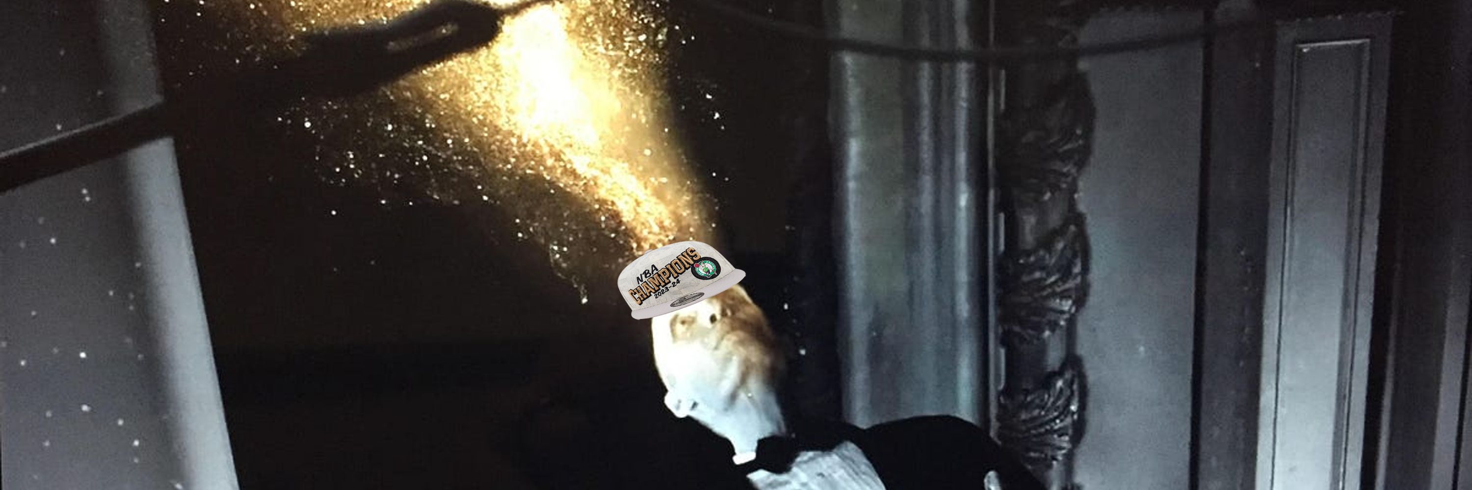 D A N 