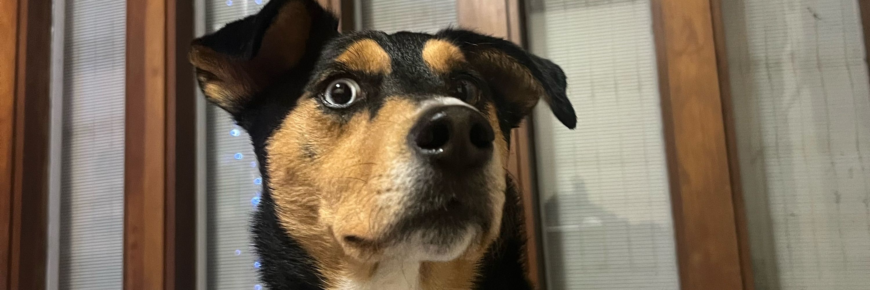 Ken