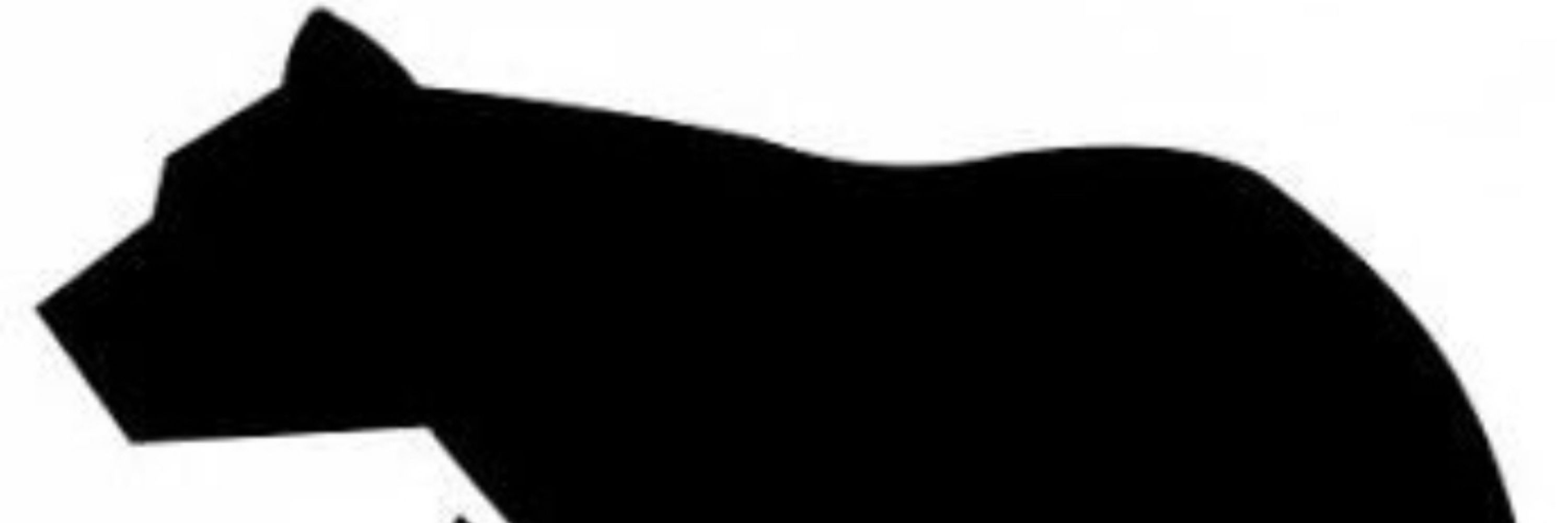 Bigblackguytop 