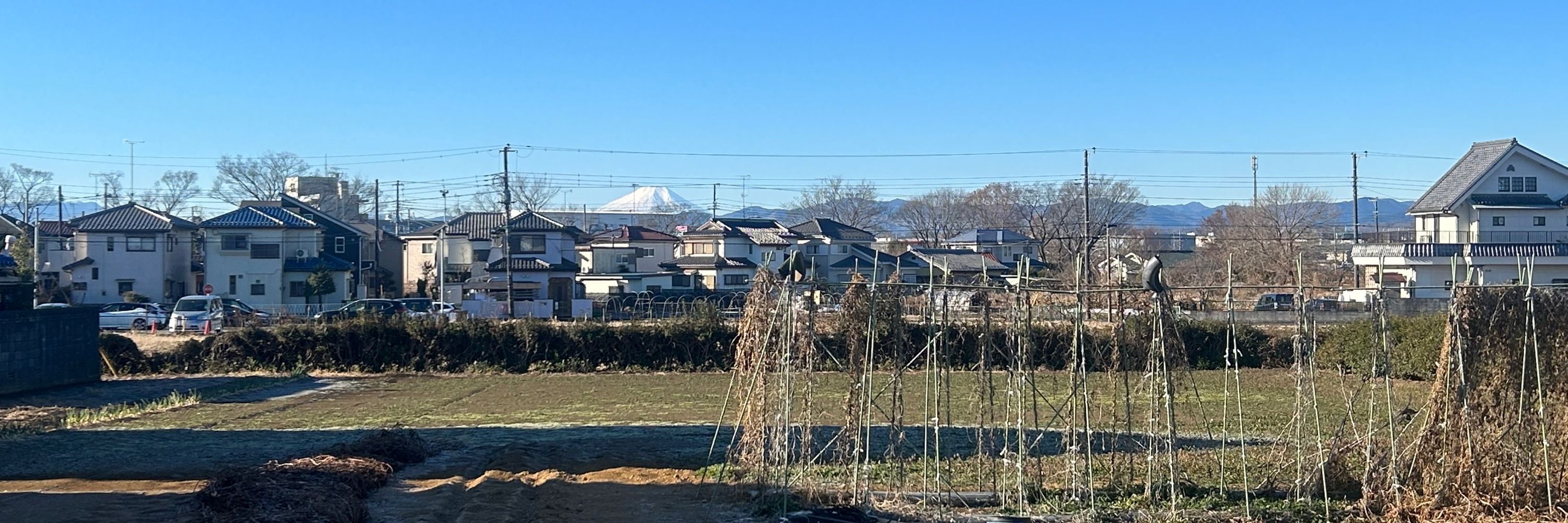 シャロパン