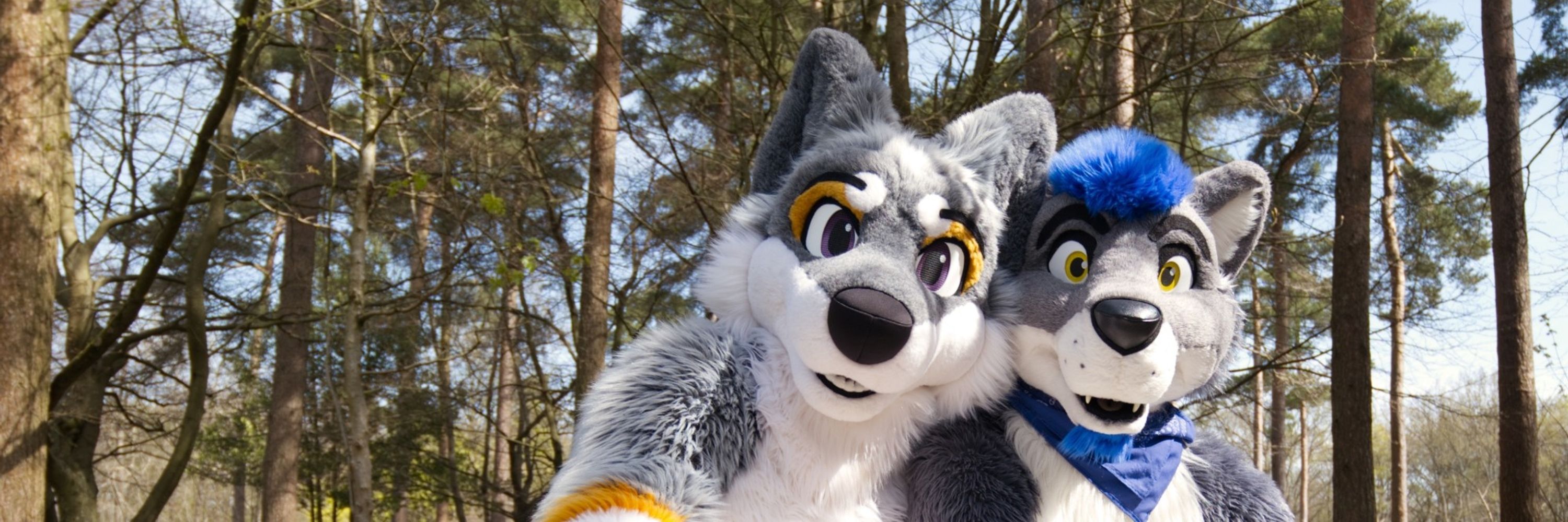 Volf