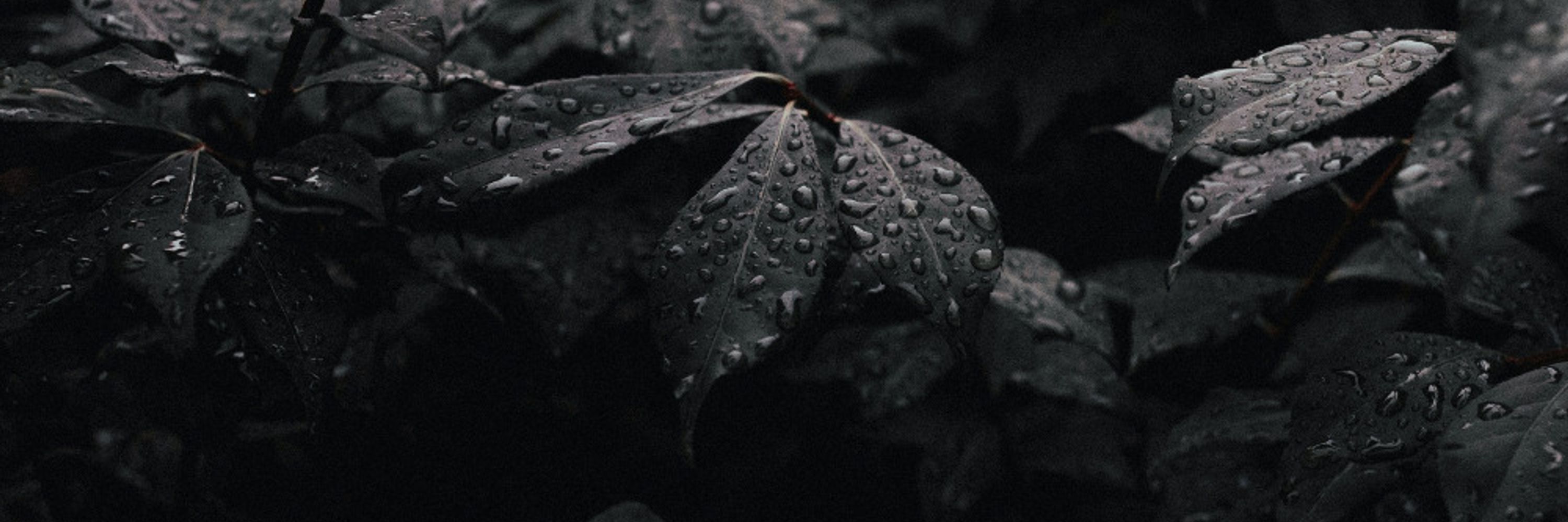 비움 | NUVA
