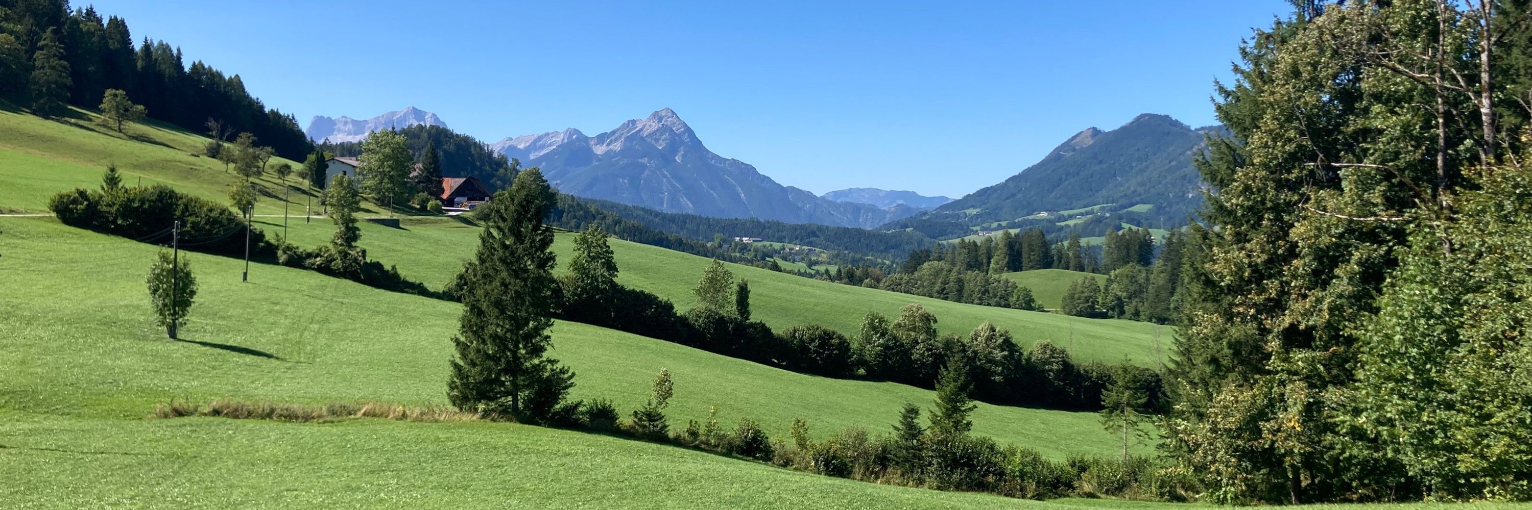 Käcksel von Hai