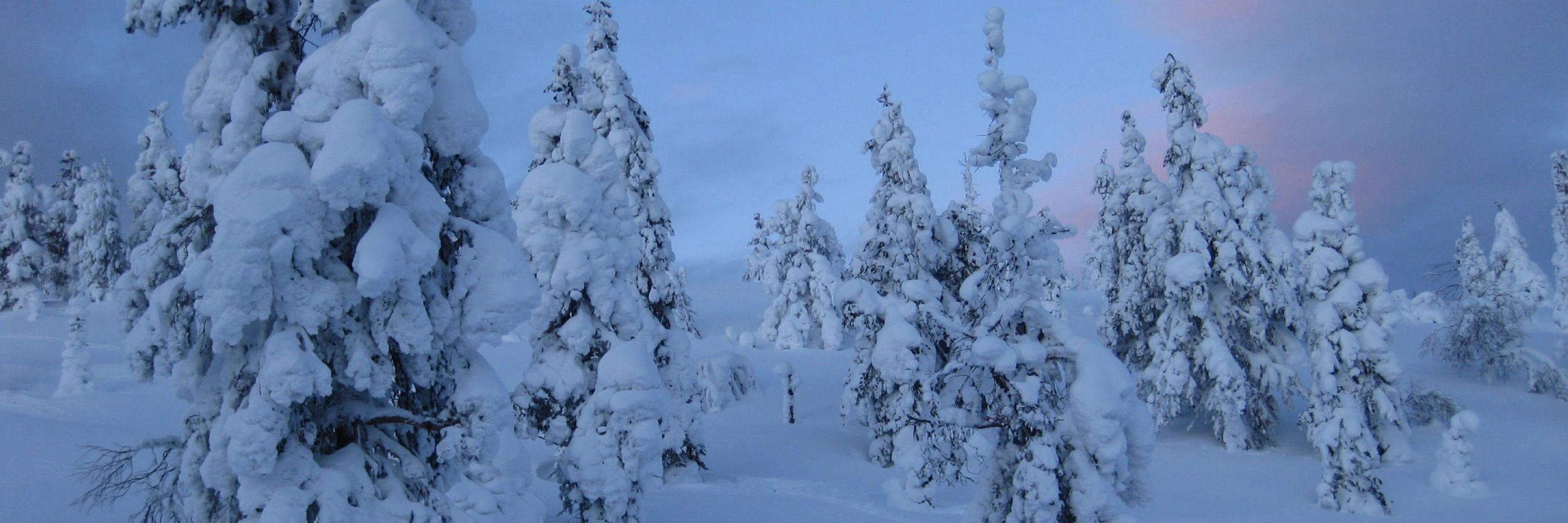 Reijo Kupiainen