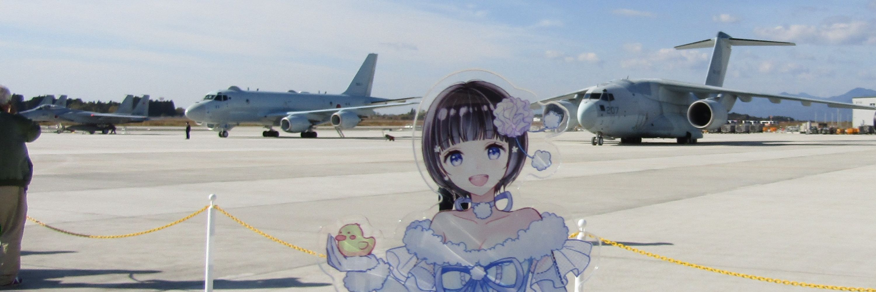 三毛柳