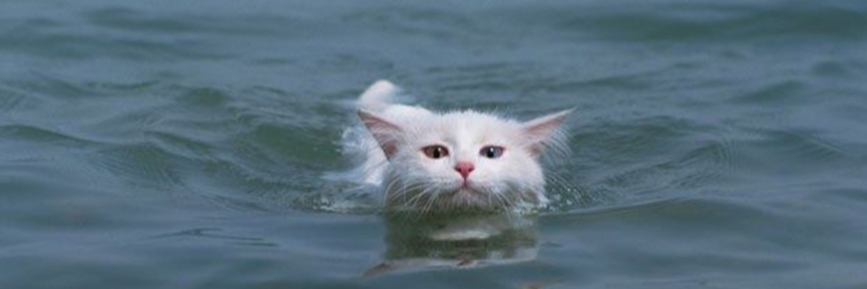 :3