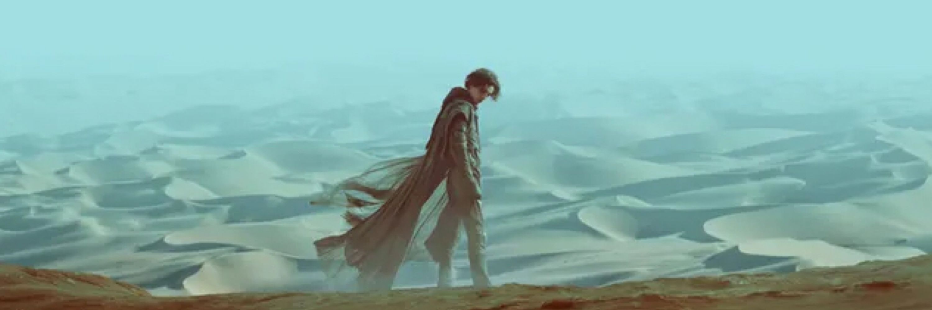 Paul Muad’Dib