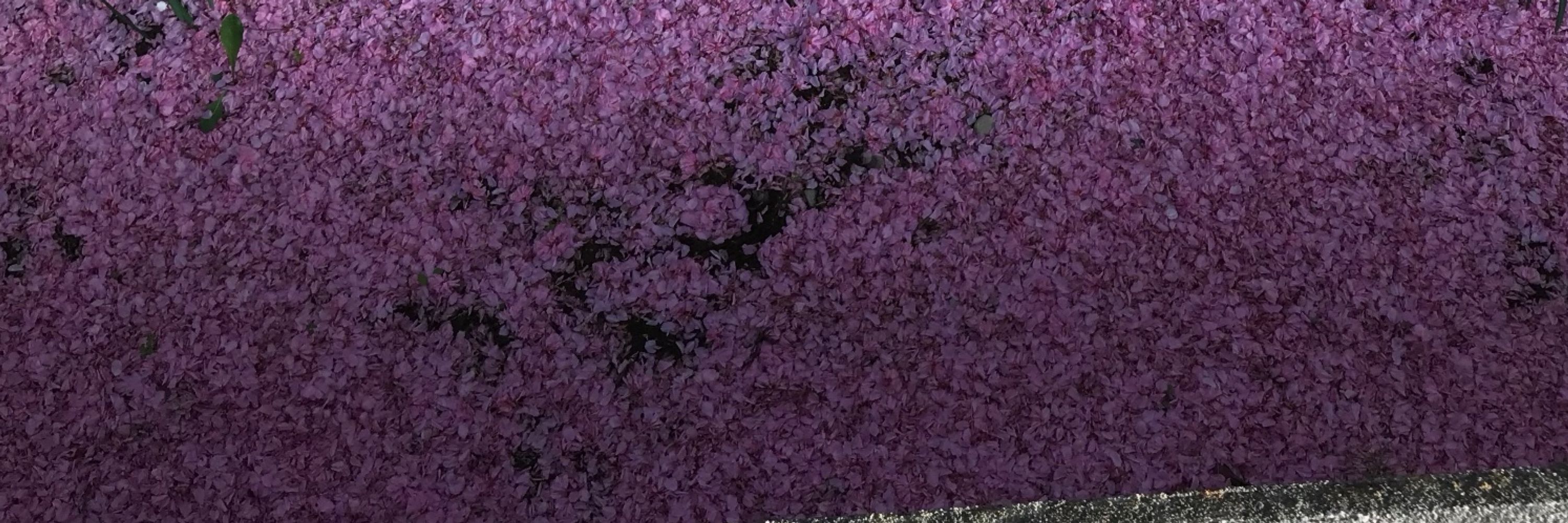 すだま